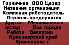 Горничная. ООО Цезар › Название организации ­ Компания-работодатель › Отрасль предприятия ­ Другое › Минимальный оклад ­ 1 - Все города Работа » Вакансии   . Красноярский край,Красноярск г.